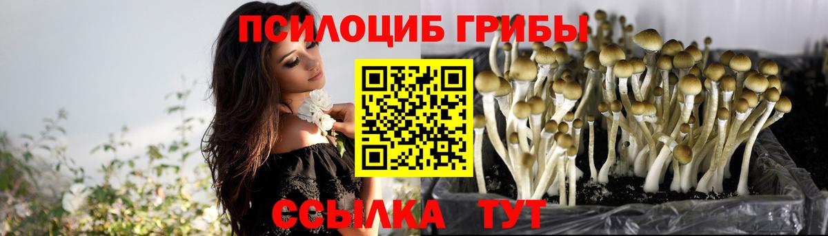 Клин  Галлюциногенные грибы Cubensis  Вход с VPN 