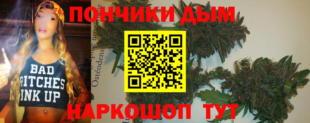 Бошки Шишки OG Kush  Канабис планчик  Клин  Канабис гибрид  Вход с VPN 